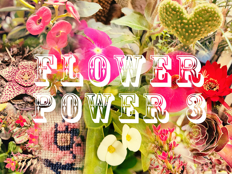 Collage of flowers and plants with centered  title in capital white letters. Flower Power 3: Group Art Show